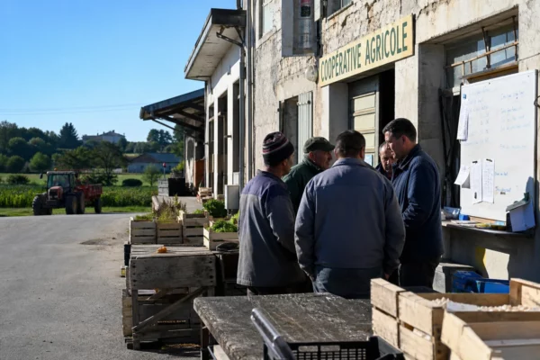 Des agriculteurs et employés d’une coopérative rurale discutent dans une petite commune française en lumière naturelle.