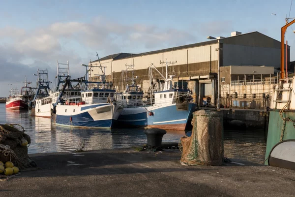 Des bateaux de pêche amarrés dans le port de Saint-Pierre, avec filets et matériel de quai en premier plan.
