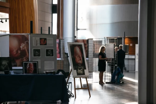 Exposition anti-avortement dans un couloir du Parlement européen à Strasbourg, avec panneaux et affiches