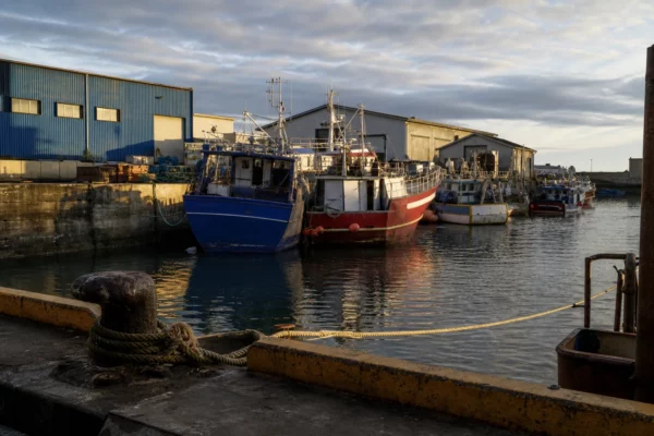 Des bateaux de pêche au port de Saint-Pierre, avec les quais et les hangars à l’arrière-plan.