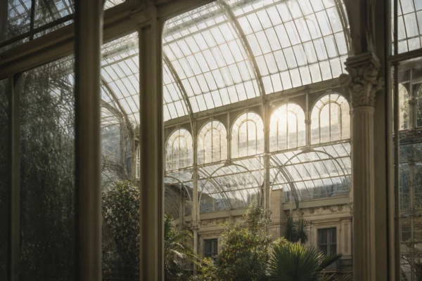 Verrière colorée de l’Élysée en contre-jour, structure métallique monumentale et quelques plantes d’intérieur en arrière-plan.