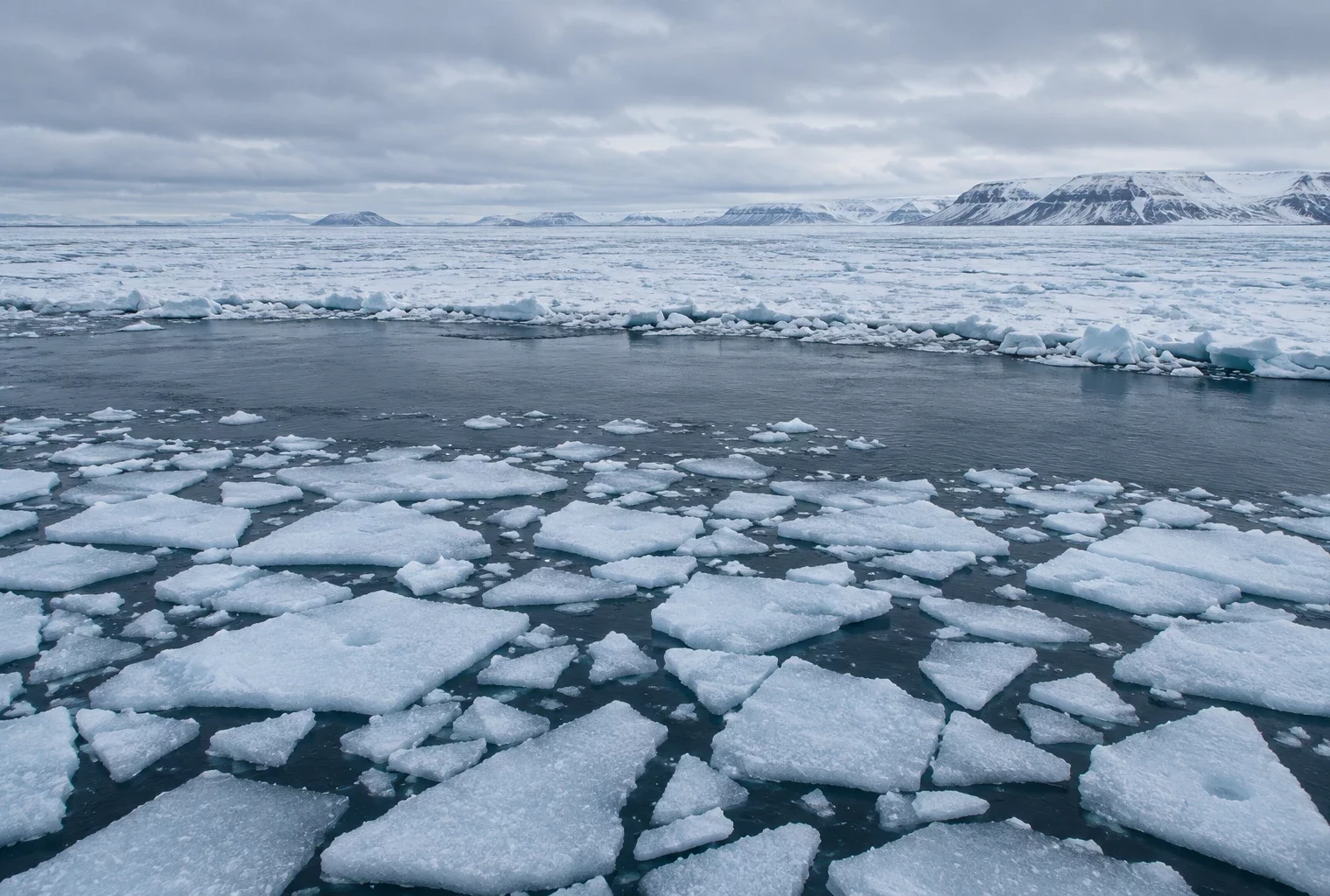 Des plaques de glace de mer fragmentées dérivent dans l’eau sombre devant une vaste banquise arctique sous un ciel couvert.