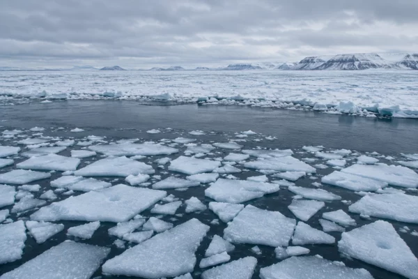 Des plaques de glace de mer fragmentées dérivent dans l’eau sombre devant une vaste banquise arctique sous un ciel couvert.